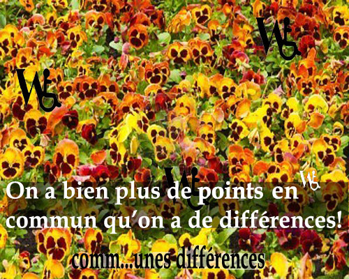 Comm..unes Diff�rences