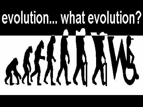 Evolution