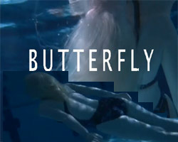 Butterfly / Papillon de