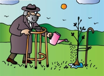 pant plantation stick